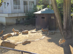 シャボテン11.jpg