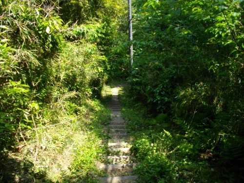 大楠山 (20) (500x375).jpg