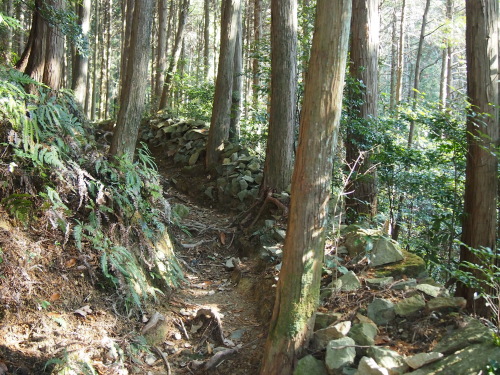 P1110332.jpg