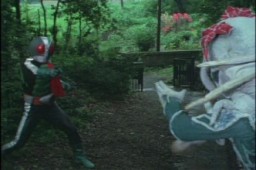 PDVD_018.jpg