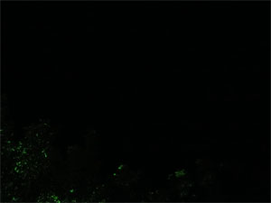 阿寒48.jpg
