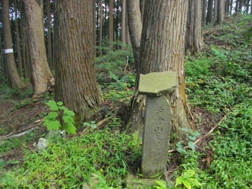 奥高尾縦走路荷田子峠グミ尾根.JPG