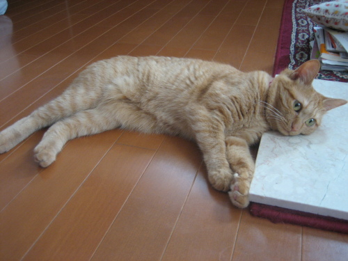 July 08, 2013(1).JPG