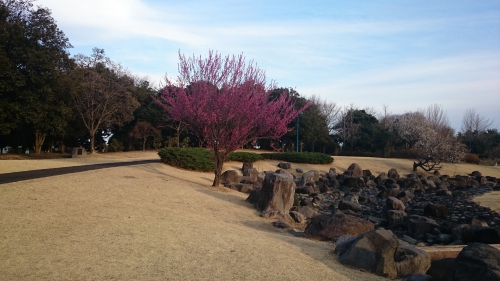 CYMERA_20170404_105425.jpg