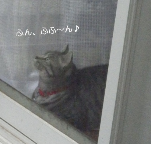 20150707_5.jpg