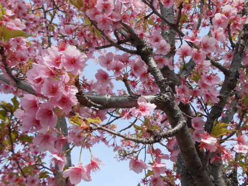 DSCN2316.JPG