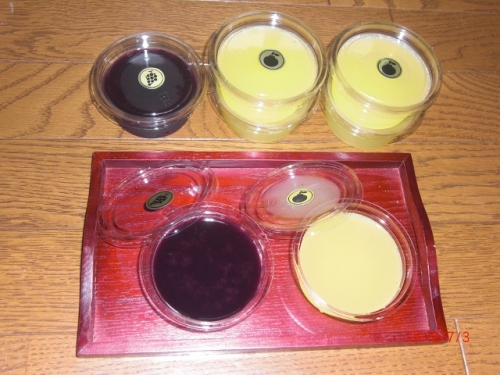 CIMG6171 (640x480).jpg