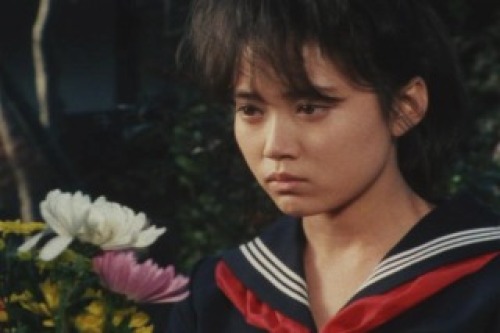 PDVD_000.jpg