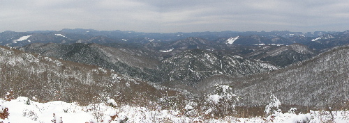 P2170802PL2t.jpg