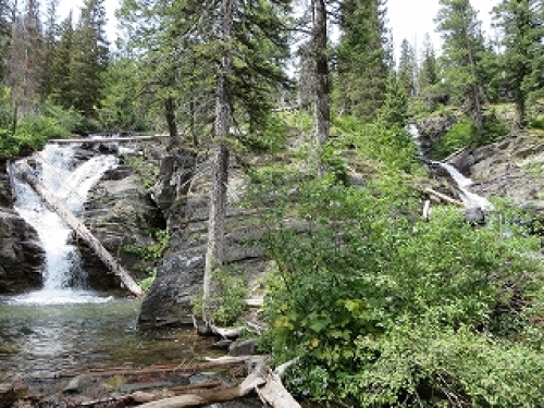 IMG_0270.jpg