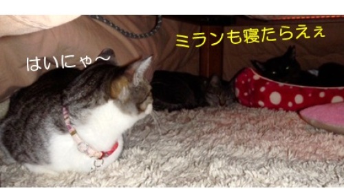 20151123_4.jpg