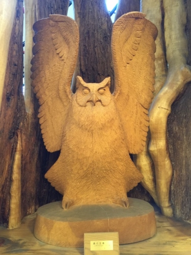 IMG_8031 (480x640).jpg