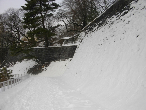 盛岡城本丸南西石垣 (2) (500x375).jpg