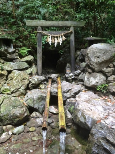 IMG_2646 (480x640).jpg