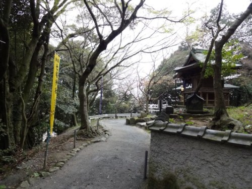 2.2016年桜 宮地嶽神社 (12).JPG