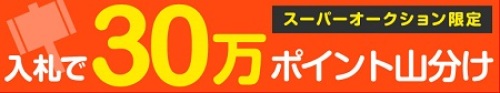 楽天オークション 入札で ポイント情報 じゃっかす のお勧めブログ 楽天ブログ