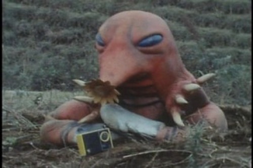 PDVD_012.jpg
