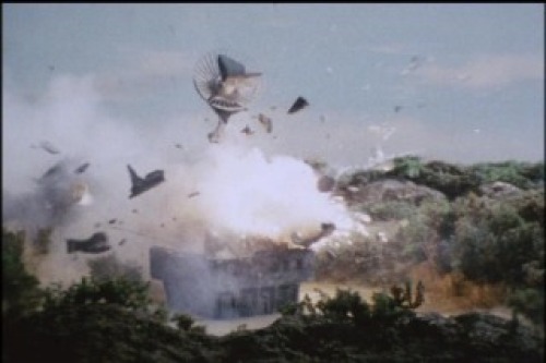 PDVD_033.jpg