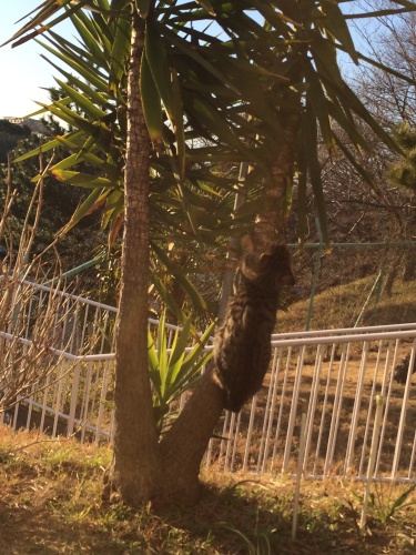 201502021649_0793_iphone.jpg