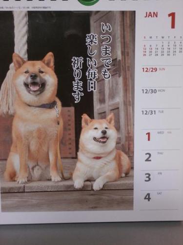 2014犬川柳カレンダー.jpg