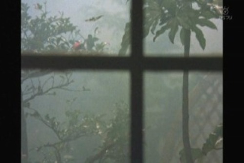 PDVD_017.jpg