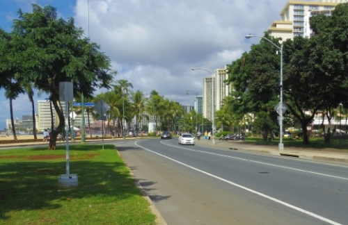 pict-カピオラニ 2.jpg