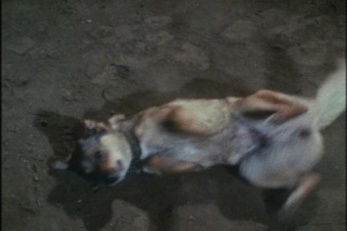 PDVD_014.jpg
