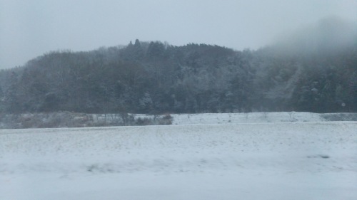 DSC_0105.JPG