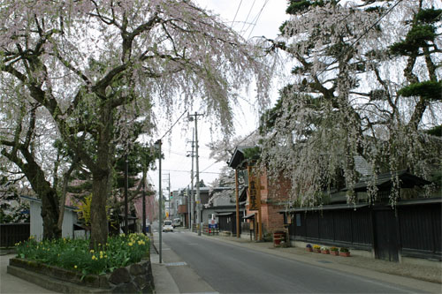 角館1.jpg