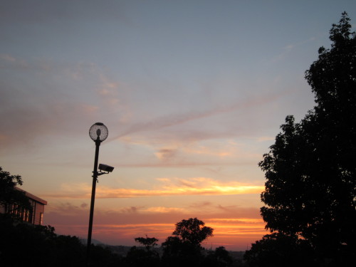 IMG_3329.JPG