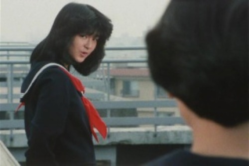 PDVD_017.jpg
