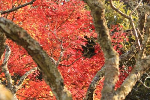 東慶寺５.jpg