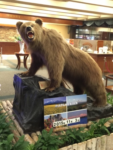 IMG_7691 (480x640).jpg