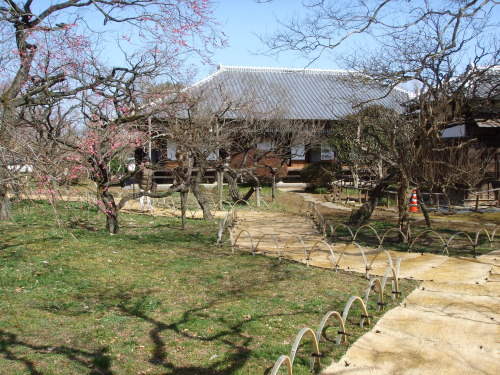 20150228_弘道館　外観4.jpg