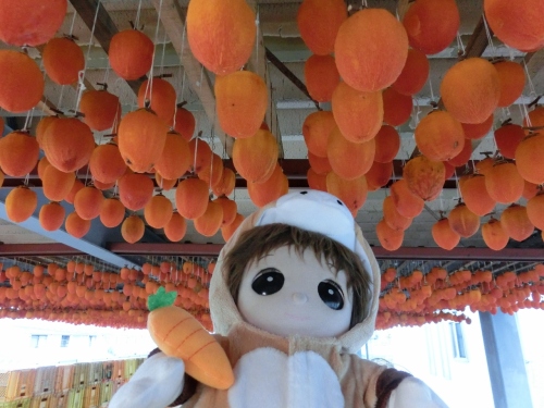 CIMG5269 (1280x960).jpg