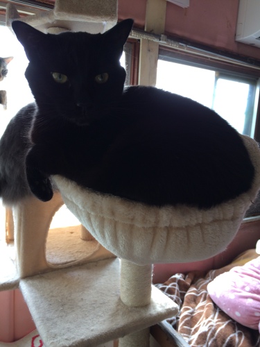 IMG_8700 - コピー.JPG