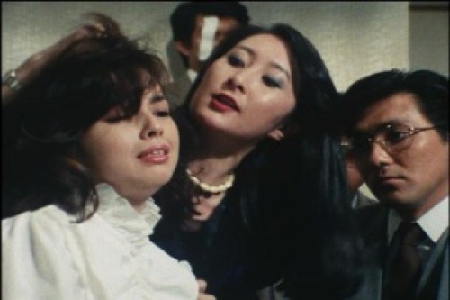 PDVD_021.jpg