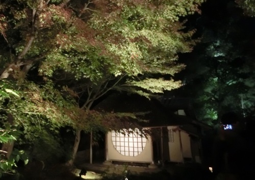 傘亭（重文） (2).JPG