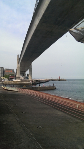 01012_R.jpg