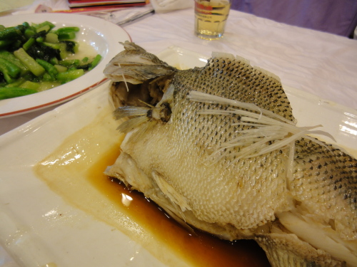 DSC00543.JPG