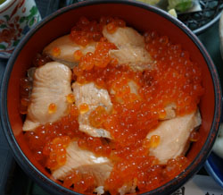 田園4.jpg