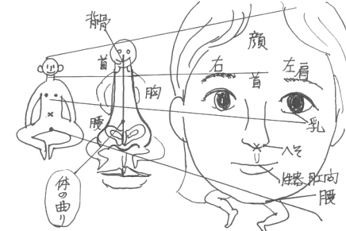 顔鼻の関連部位.JPG