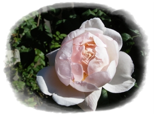 DSCF0579.JPG