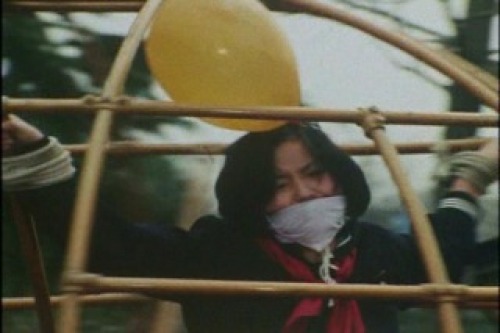 PDVD_012.jpg