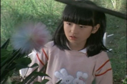 PDVD_013.jpg