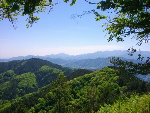 奥高尾縦走路景信山丹沢.JPG