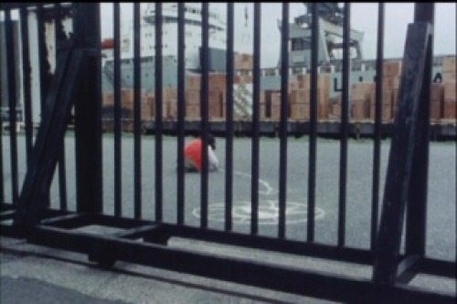 PDVD_019.jpg