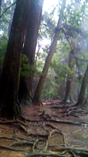 201307291253000.jpg