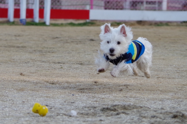 IMGP0272.jpg