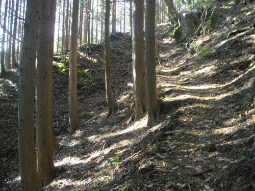 箱根外輪山 (13) (500x375).jpg